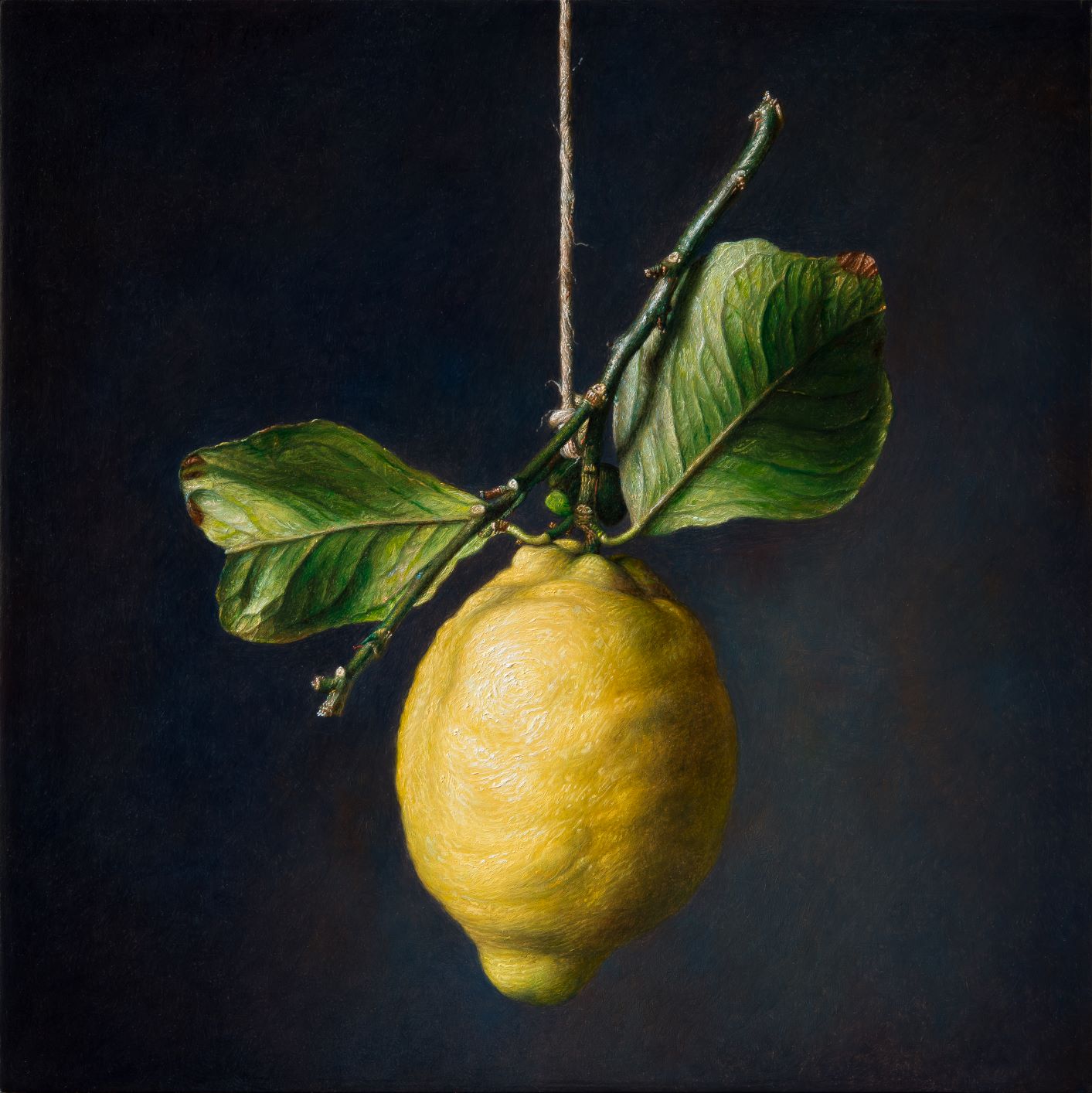 Limone Sospeso - 2020 olio su tavola cm 30x30 © Gianluca Corona