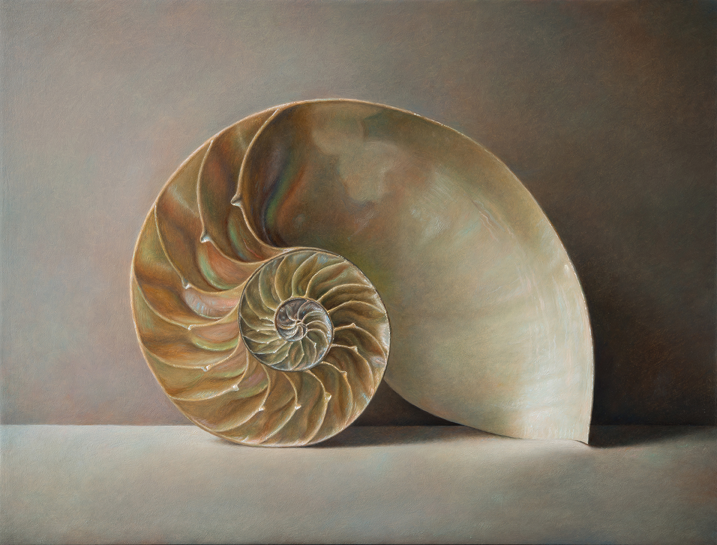 Nautilus - 2018, olio su tavola cm 38x50 © Gianluca Corona