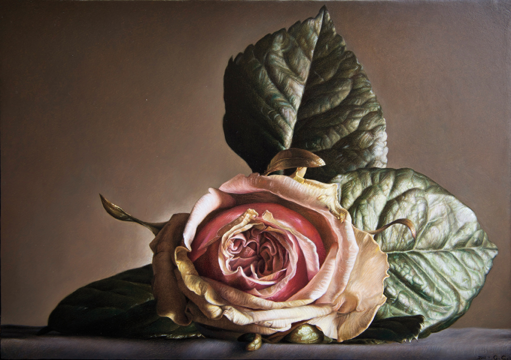 Rosa I - 2011 olio su tavola cm 25x35 © Gianluca Corona