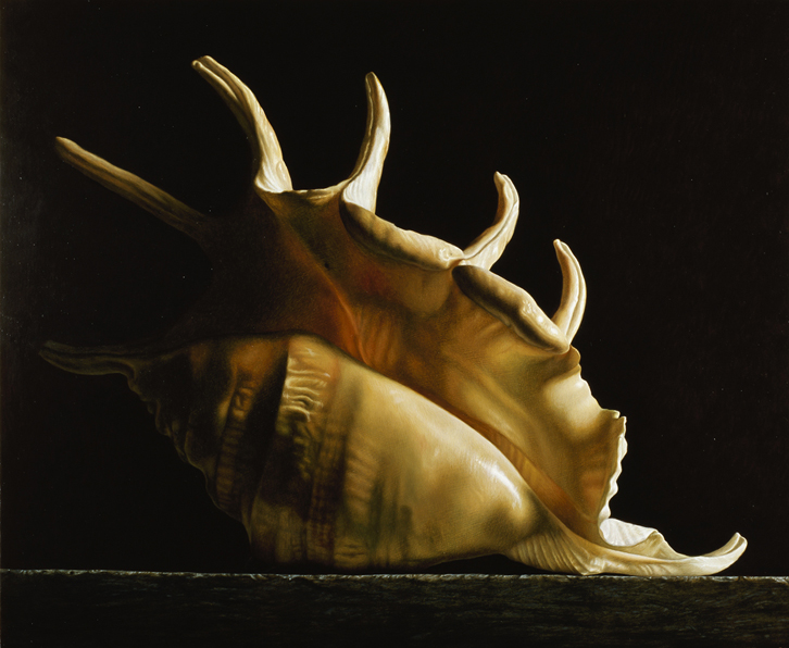 Scheletro - 2010 olio su tela cm 65x80 © Gianluca Corona