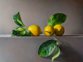Avance, Limoni - 2022 - olio su tavola cm 64x71 © Gianluca Corona