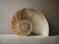 Nautilus - 2018, olio su tavola cm 38x50 © Gianluca Corona